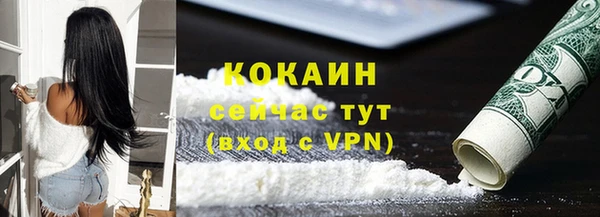 СК Бердск