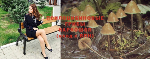 spice Баксан