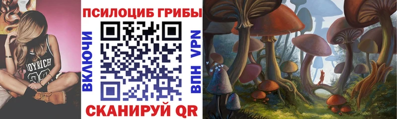 Галлюциногенные грибы Psilocybe  Покровск 